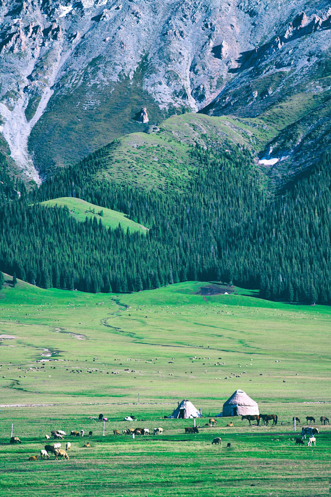 风景