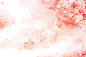 花朵,桃花,粉色,水彩画颜料,花_24f08f629_桃花_创意图片_Getty Images China