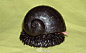 铁鳞蜗牛