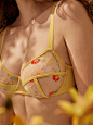 Enchanted Garden Floral-Embroidered Underwire Bra : Details: EmbroideryFabric: Non-StretchComposition: PolyesterStyle: SexyColor: YellowWires: UnderwireLocation: USBra Type: Full Cup, Unlined BraType: A PieceFabric Type: KnittingCare Instructions: Hand wa