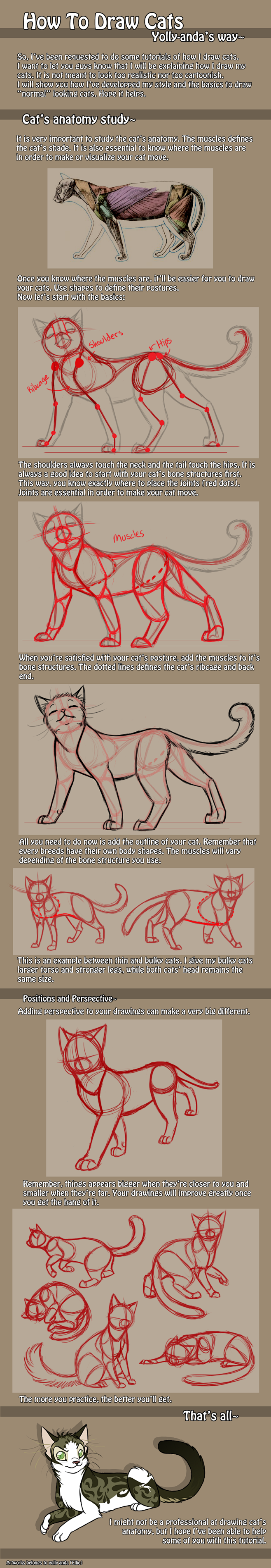 How to draw cats - a...