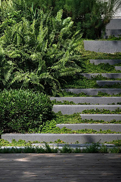 zwang采集到住宅｜植栽