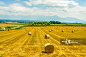 田地,干草卷,农业,大麦,云正版图片素材