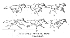 海蓝与海漠采集到动画 教程