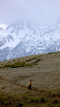 Yak Cowboy, Jade Dragon Snow Mountain National ... | Travel Photos ...