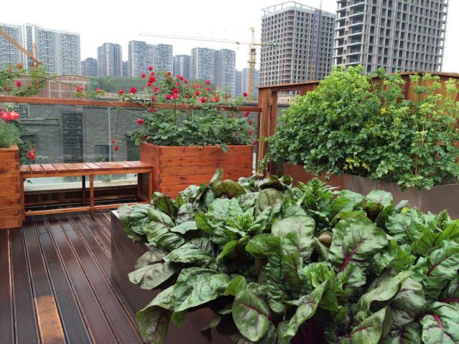 木作自然亲近的现代风格屋顶花园，舒适自然...