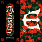 Evisen Skateboards new team series 14
TSUBAKI Evi logo