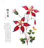 耧斗菜(columbine)：本种花姿娇小玲珑，花色明快，适应性强，宜成片植于草坪上、疏林下，春天草地上开满星星点点小黄花，野趣盎然，也宜洼地、溪边等潮湿处作地被覆盖。花语：必定要得手，坚持要得胜。