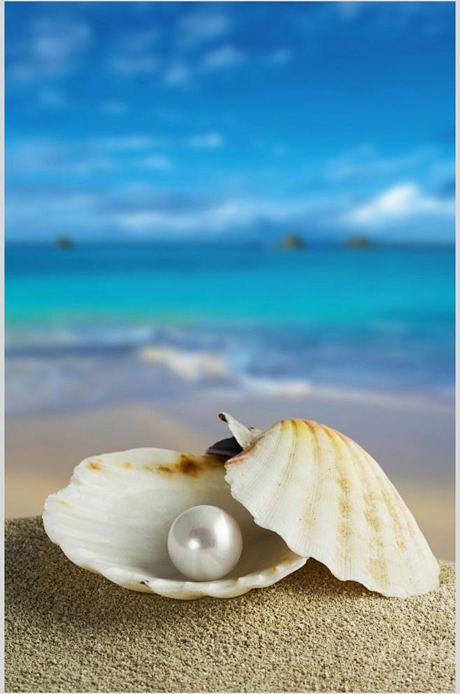 清新海洋风珍珠珠宝项链高清图片