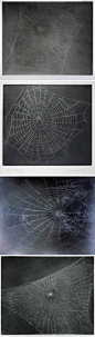 【网络】 Webs by Vija Celmins →→ @鸟人与鱼
