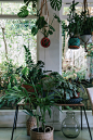 A florist’s bohemian home in Cape Town · Miss Moss : Belinda Soboil and her family live in a classic old house in the Southern Suburbs of Cape Town that beautifully mixes old and new, and of course her passion for flowers. she worked in the advertising an