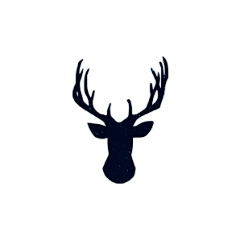 西翎采集到deer