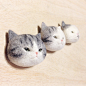 まんじゅう猫
- - - - - - -
さばとら柄達。
#cat #neko #silvertabby #needlefelt #needlefelting #felt #felted #felting #woolfelt #woolfeltcat #handmade #羊毛フェルト #ニードルフェルト
20171109