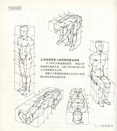 一剑祝福采集到人体结构