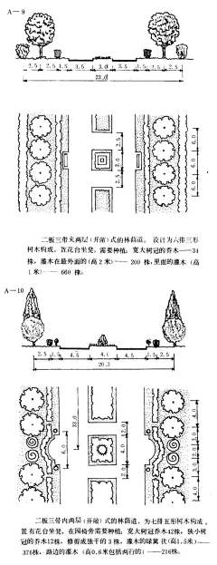 芸~采集到道路绿化