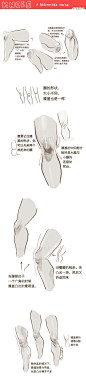 【初学者向】关于膝盖，需要注意的一些tips 