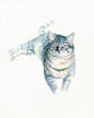 水粉插画-猫[一组猫的水彩画,真心好看,不看就可惜...