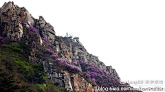 Zlynkm采集到亲近大黑山, 鸣非旅游攻