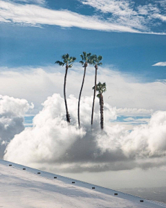 十二减一采集到风景