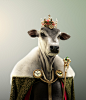 Royal Bull & Cow : This is a work I did for Biomatrix which I was responsible for the whole 3D part: design/concept, sculpting and modeling, hair/fur grooming, lighting, lookdev and render. I used Zbrush for the sculpting, Marvelous for the clothes an