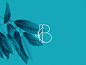 BARRO BLUE品牌形象设计 | Willian Santiago 设计圈 展示 设计时代网-Powered by thinkdo3