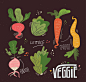 7款彩绘蔬菜设计矢量图