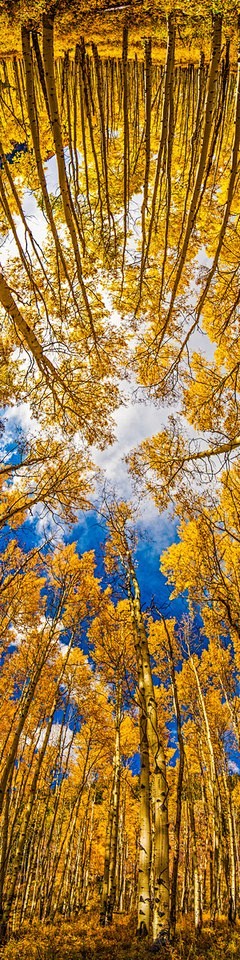 180º aspens - photo ...