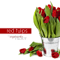 高清晰鲜花摄影系列-红玫瑰-白玫瑰-百合花---酷图编号982469