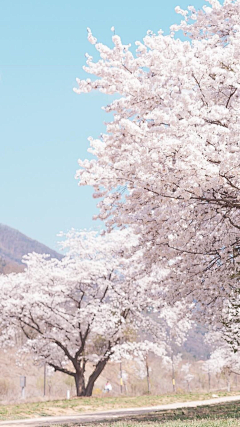 时更姐姐采集到素锦——真实场景