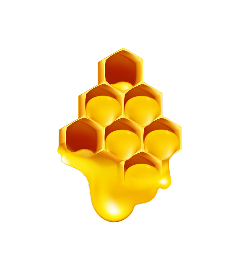 c3d0cca0b3a20a1c47f792e970a8846529372b7f319b9-ZCfukQ