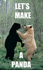 Let's make a Panda
