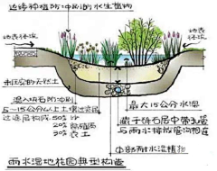 朕安采集到海绵城市