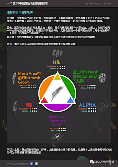 麻雀之泪采集到羽毛