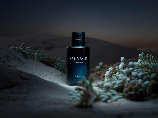 Dior Sauvage : Dior ...