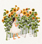 花园的故事  —— 韩国插画师초록담쟁이作品