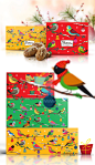 上海包装设计公司包装佳作欣赏：Bonora 巧克力小鸟风格圣诞节新年礼盒包装设计2