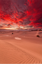  Mesquite Sand Dunes by Mathias Unterstein