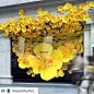 SELFRIDGES,London,UK, "Apple takes over the windows to promote the Apple Watch",photo by Coolhunter, pinned by Ton van der Veer: 