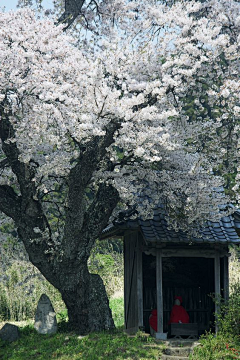 暴雨晴天都OK采集到东方古建筑