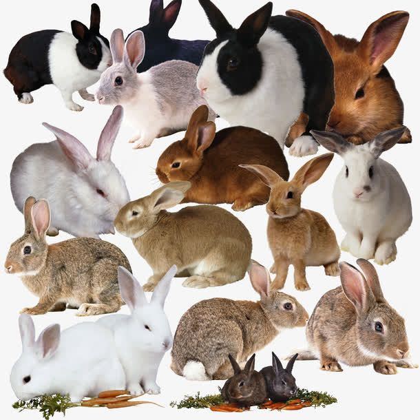 c445b799c4f62f9e85b94659aea46f6fc86ab677e80b-Qfwm3A