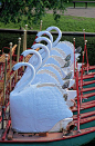 Boston Public Garden Swan Boats