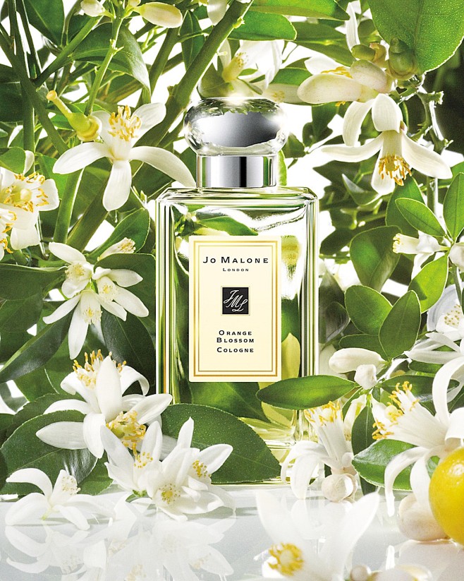 Jo Malone? Orange Bl...