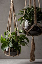 Woven Jute Planter - <a href="http://anthropologie.com" rel="nofollow" target="_blank">anthropologie.com</a>  Just inspiration.  Can not buy anymore and no tutorial here.  Love the clear planters.