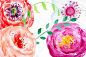 cm219灿烂盛开水墨彩色花朵花店传单名片手绘水彩PNG免抠设计素材-淘宝网