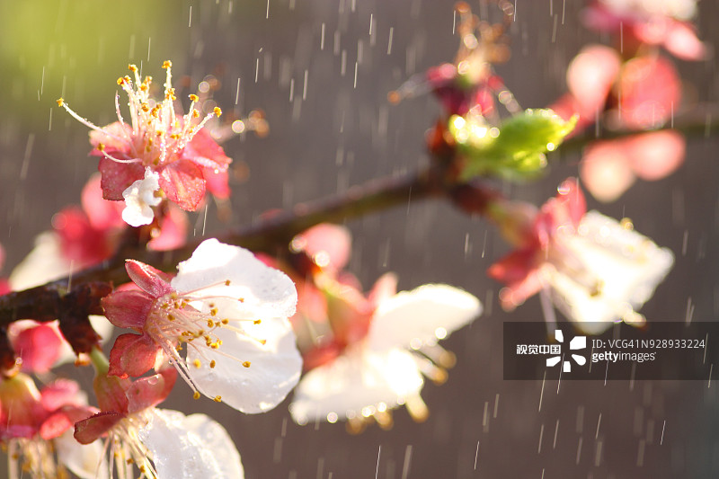 c488c7ef95587b6c90b58a13f8c47e7966483e801cb51-pytIjj