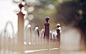 General 1920x1200 macro blurred bokeh depth of field photography fence #静物# #人像# #水下摄影#  #摄影师#