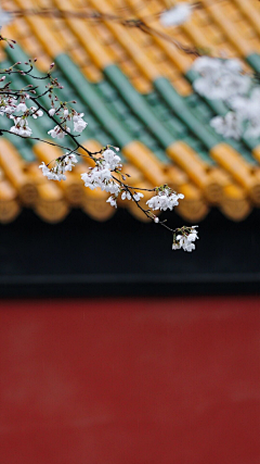 □■下雨采集到节日、节气图