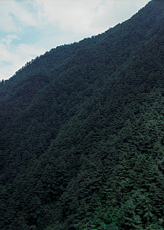 森深Stan王春森采集到山南水北