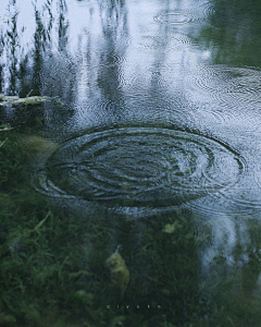 長鯉采集到● 一蓑烟雨任平生 ●