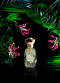 Annick Goutal - Songes